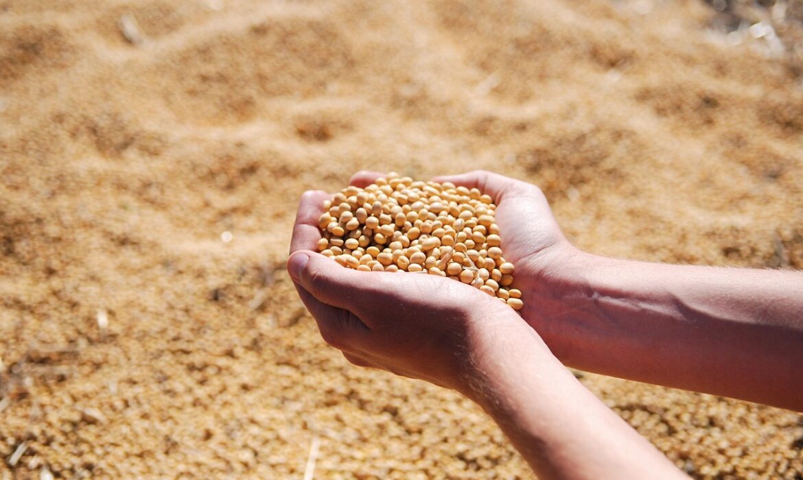 Agro-alimentaire