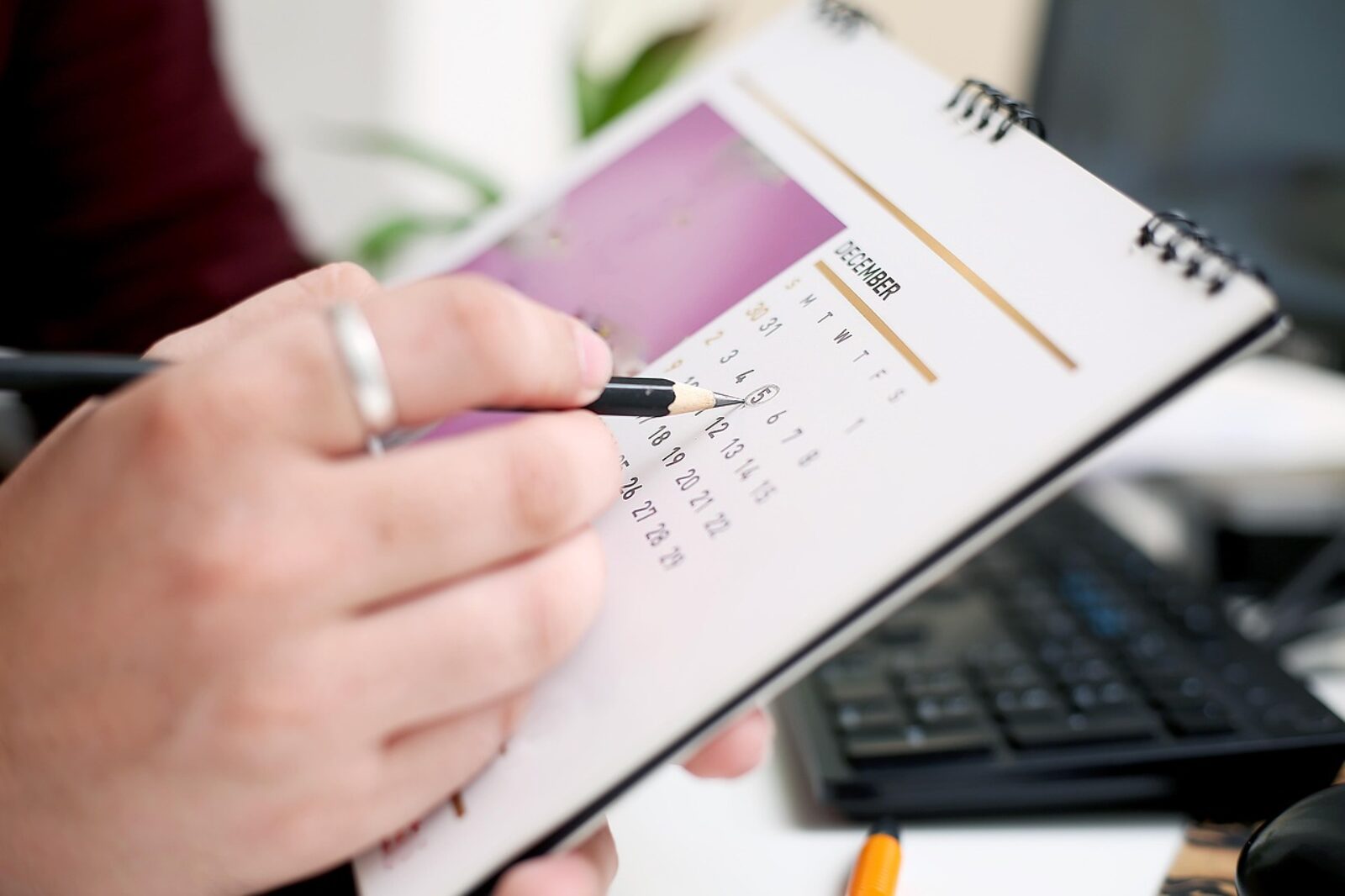 calendrier des jours travaillés 2025