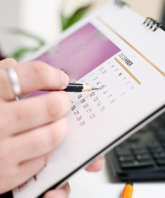 calendrier des jours travaillés 2025