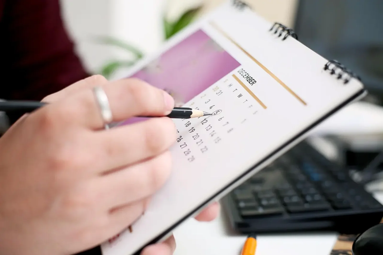 calendrier des jours travaillés 2025