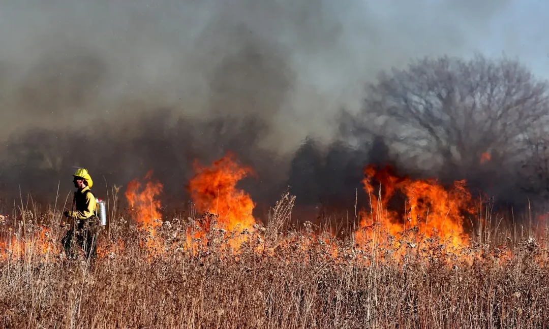 incendie forêt